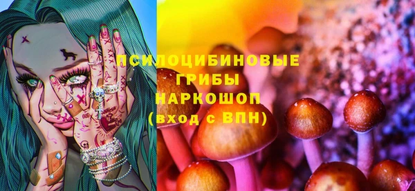 ECSTASY Бугульма